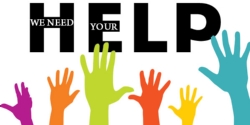 Book Fair Volunteers Needed!!