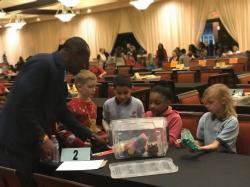 3rd Grade Math Bowl