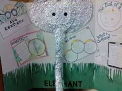 Kindergarten Animal Projects