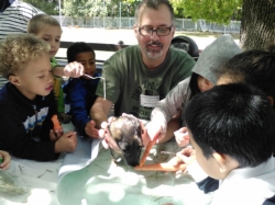 Guinea Pigs visit Kindergarten