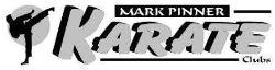Karate coming to BridgePrep Academy of South Tampa