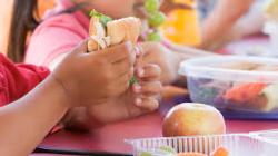 ALL FAMILIES MUST COMPLETE THE LUNCH PROGRAM APPLICATION